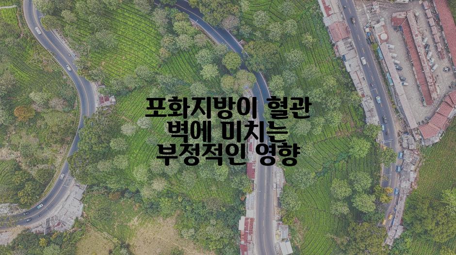 포화지방이 혈관 벽에 미치는 부정적인 영향