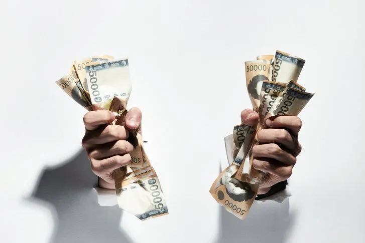 1가구2주택 제외 주택