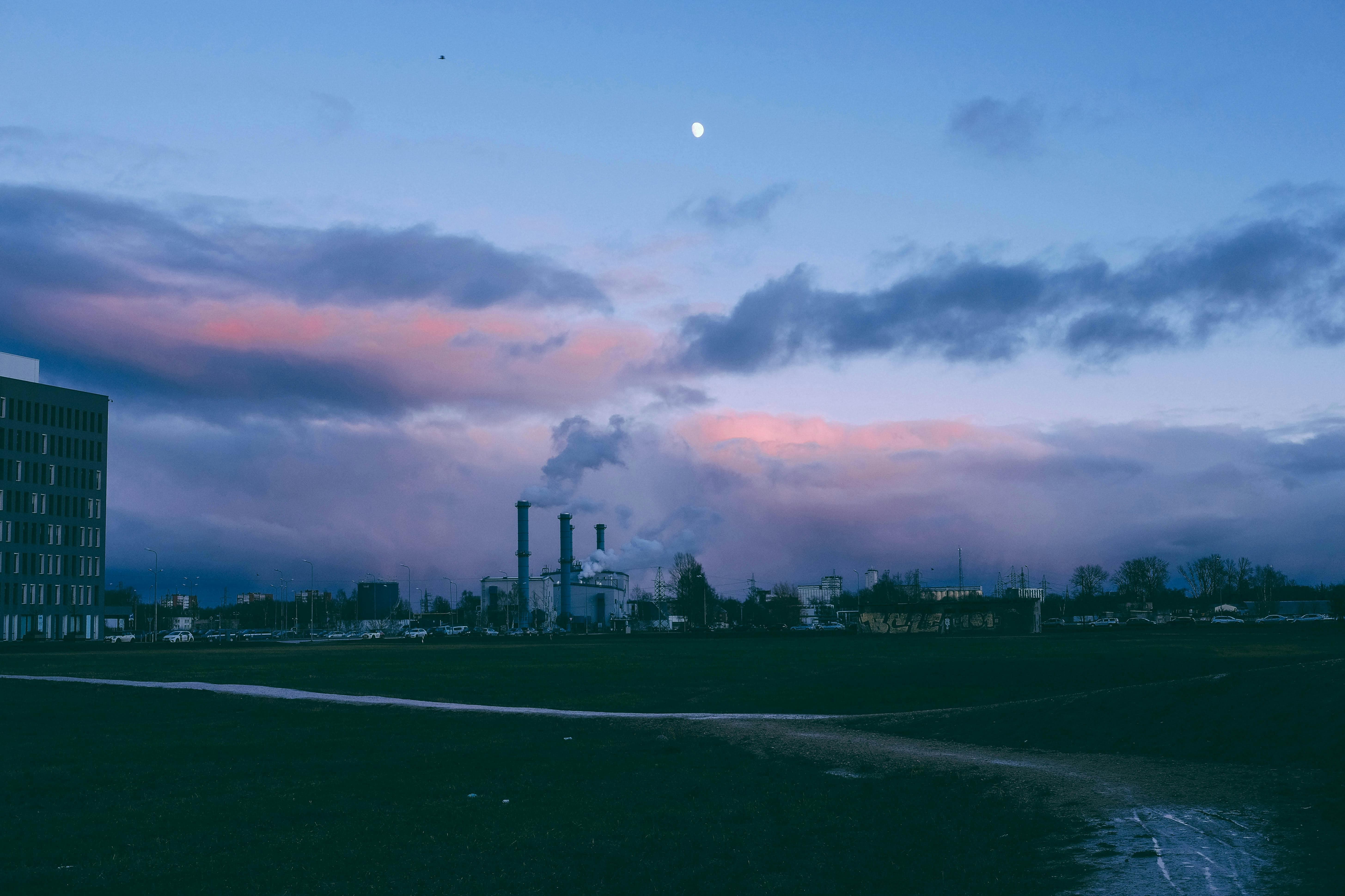 탄소배출권과 탄소배출권 거래제도, 탄소시장의 기능