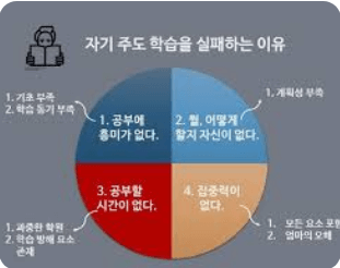 자기주도 학습의 비밀