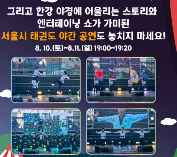 서울시 태권도 야간공연 