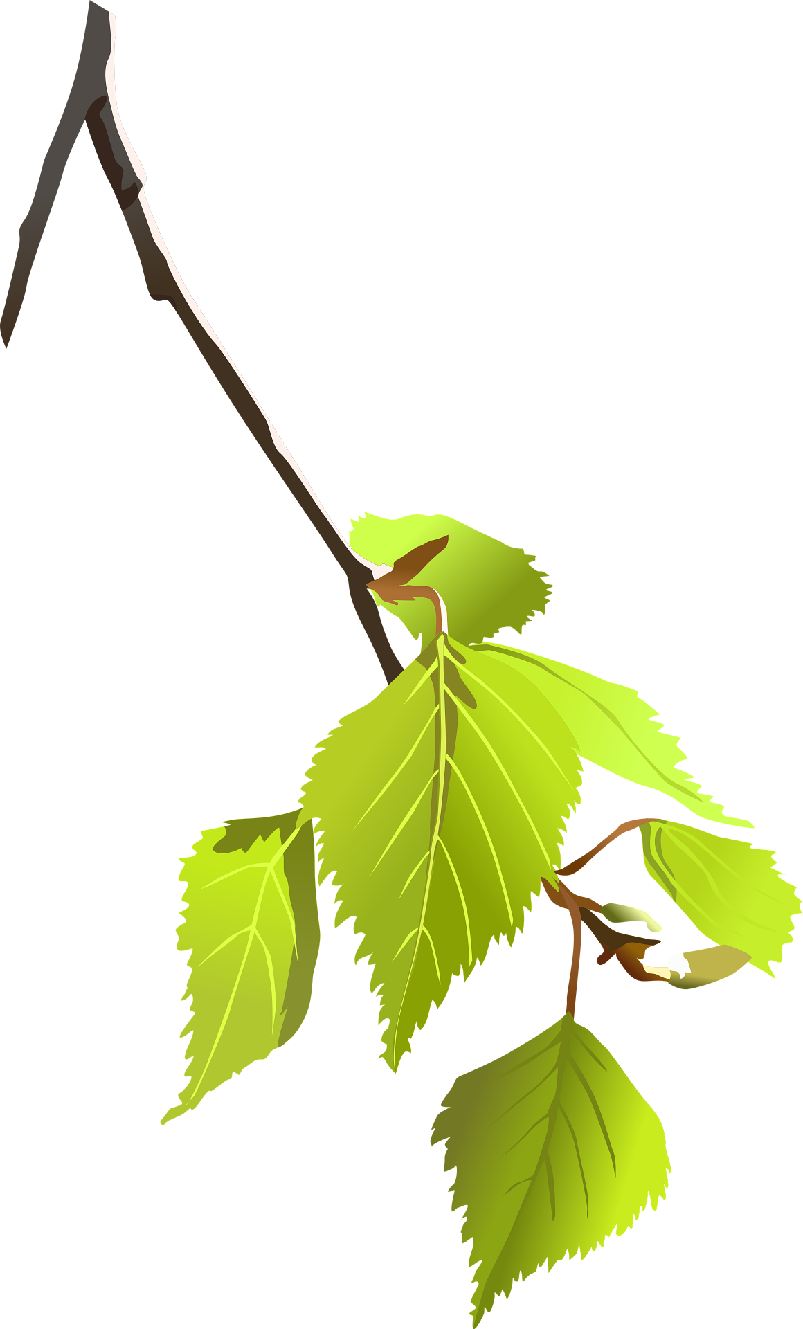 희귀 멸종위기 식물