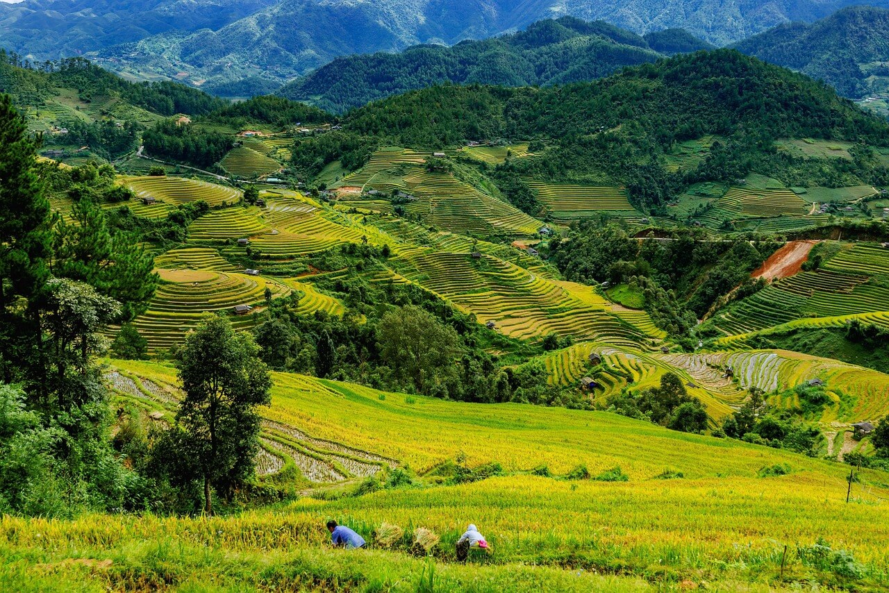 AI 없는 하루 실험기 – 기술의 감정 의존을 돌아보다 도시의 미세감정지도