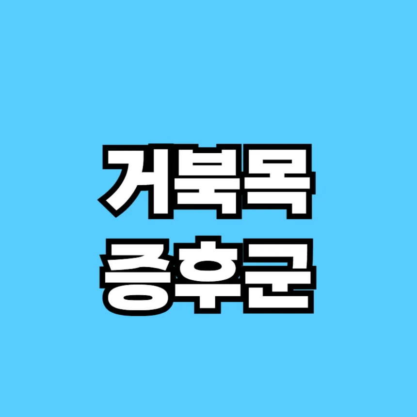 거북목 증후군 증상