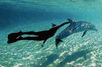 통영 가볼만한 곳