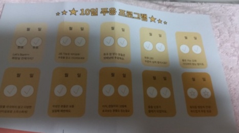 푸응 10일 프로그램