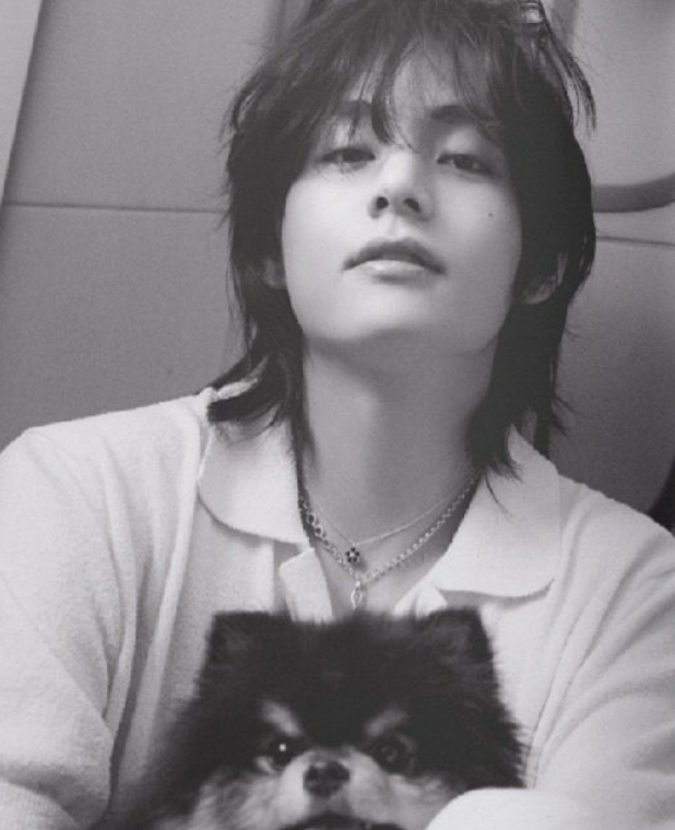 뷔솔로앨범사진