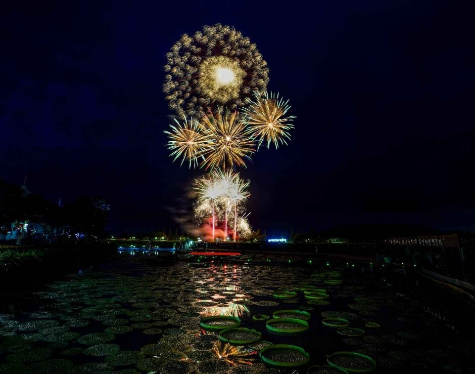 회산백련지-무안연꽃축제
