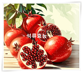석류 12