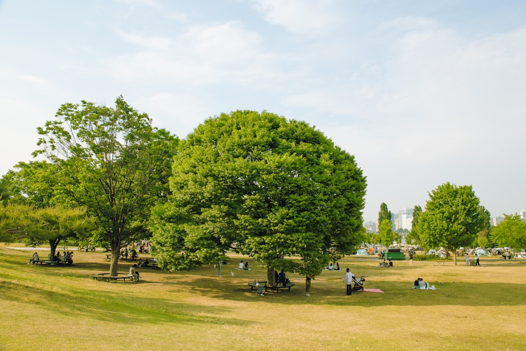Hangang Park