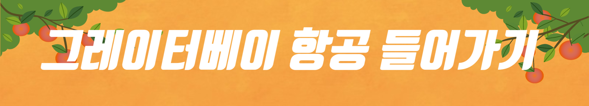 그레이터베이-항공