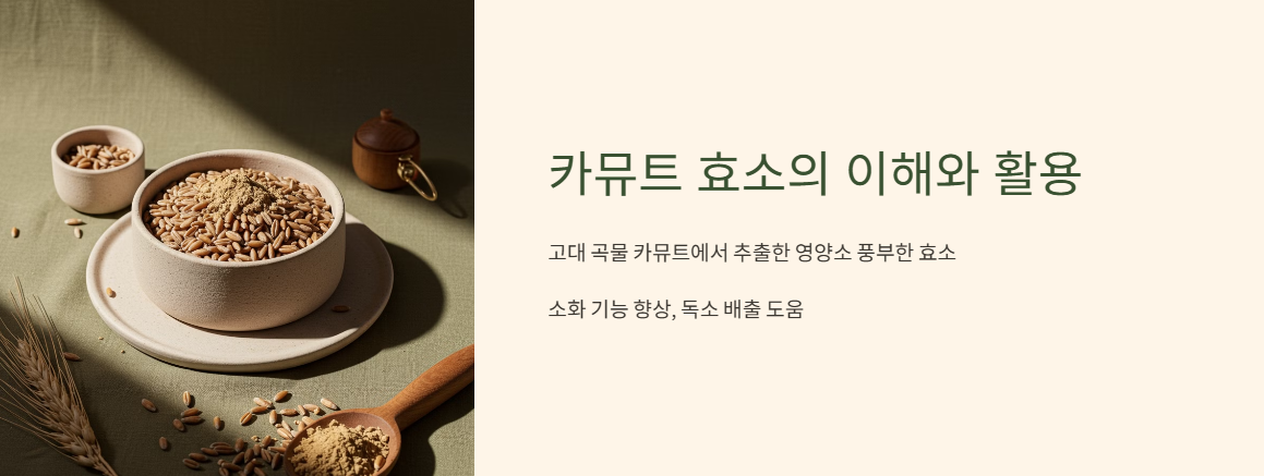 카뮤트 효소의 이해와 활용