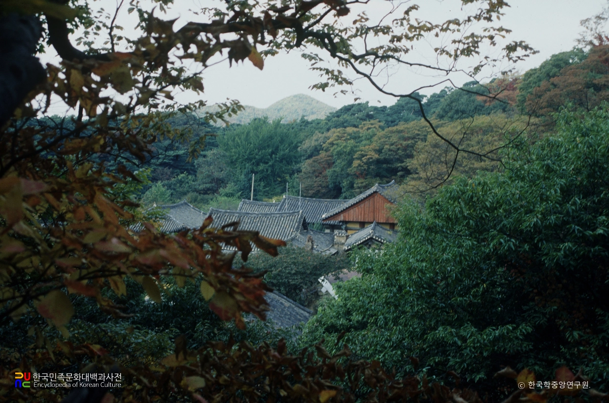 서산 개심사 한국민족문화대백과사전
