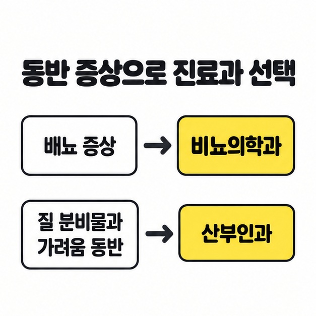 배뇨 증상은 비뇨의학과 질 분비물과 가려움 동반은 산부인과에 연결한 진료과 선택 도식