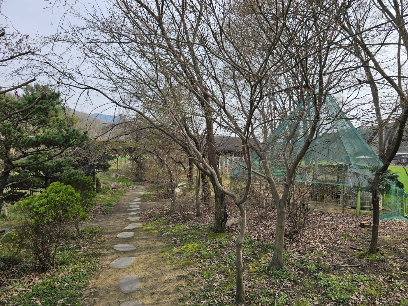 ※ 조랑말&amp;#44; 혹은 망아지