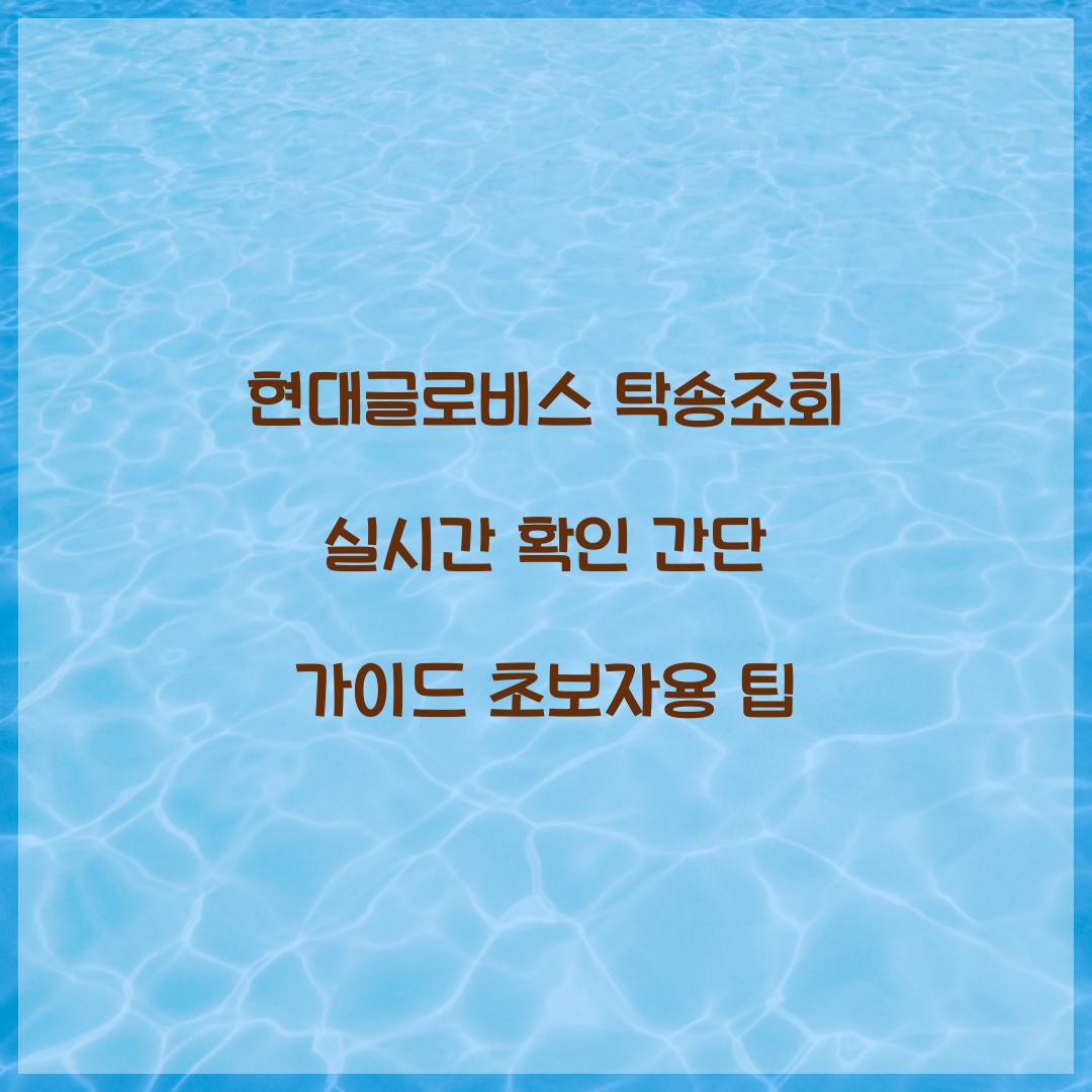 현대글로비스 탁송조회