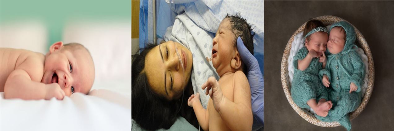 출산하는 사진, 아기, 쌍둥이 아기 사진