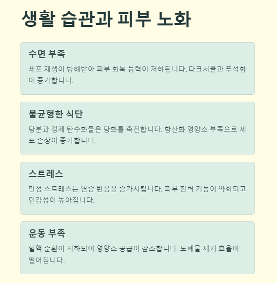 피부 노화 원인 및 예방법(방지비법)
