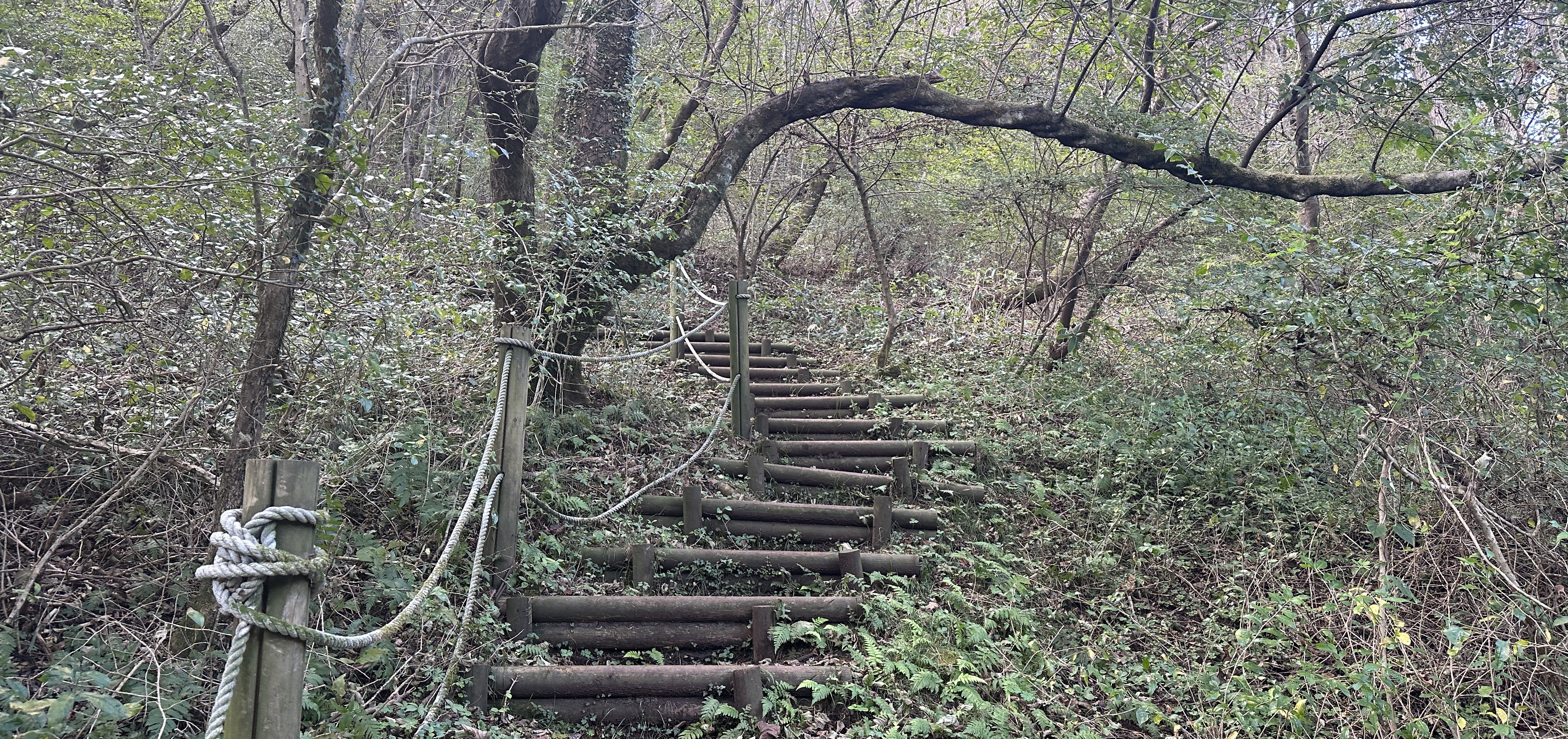 봉개동 민오름 산책로
