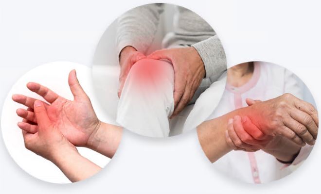 콘드로이친1200mg-효능