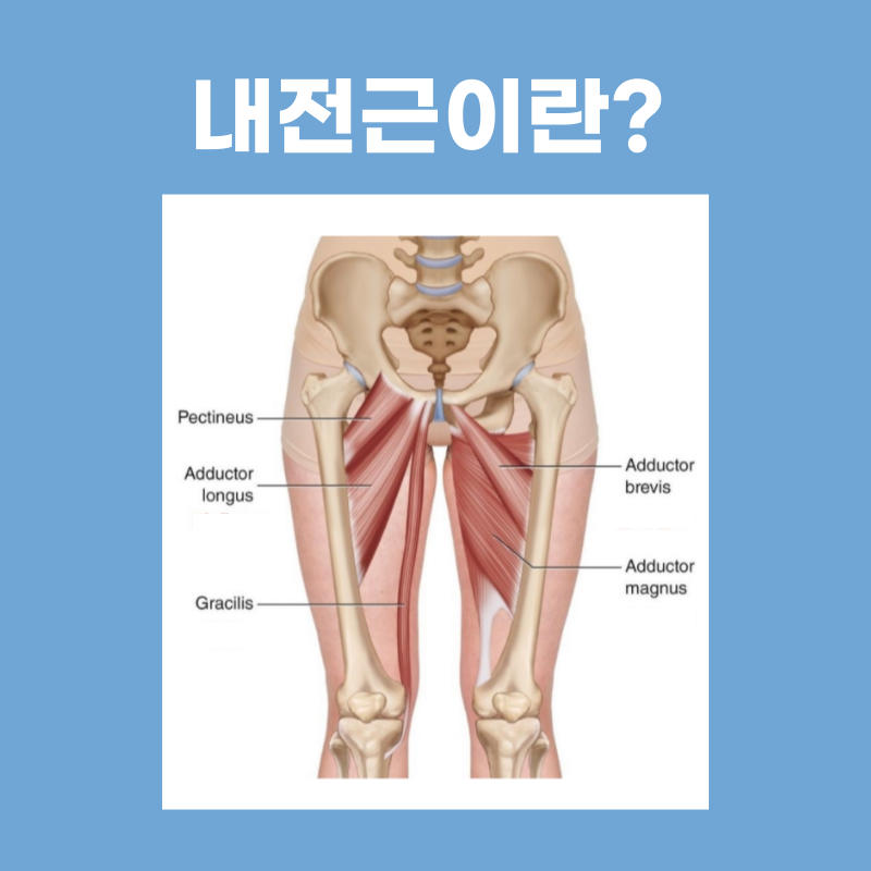 허벅지살빼는운동