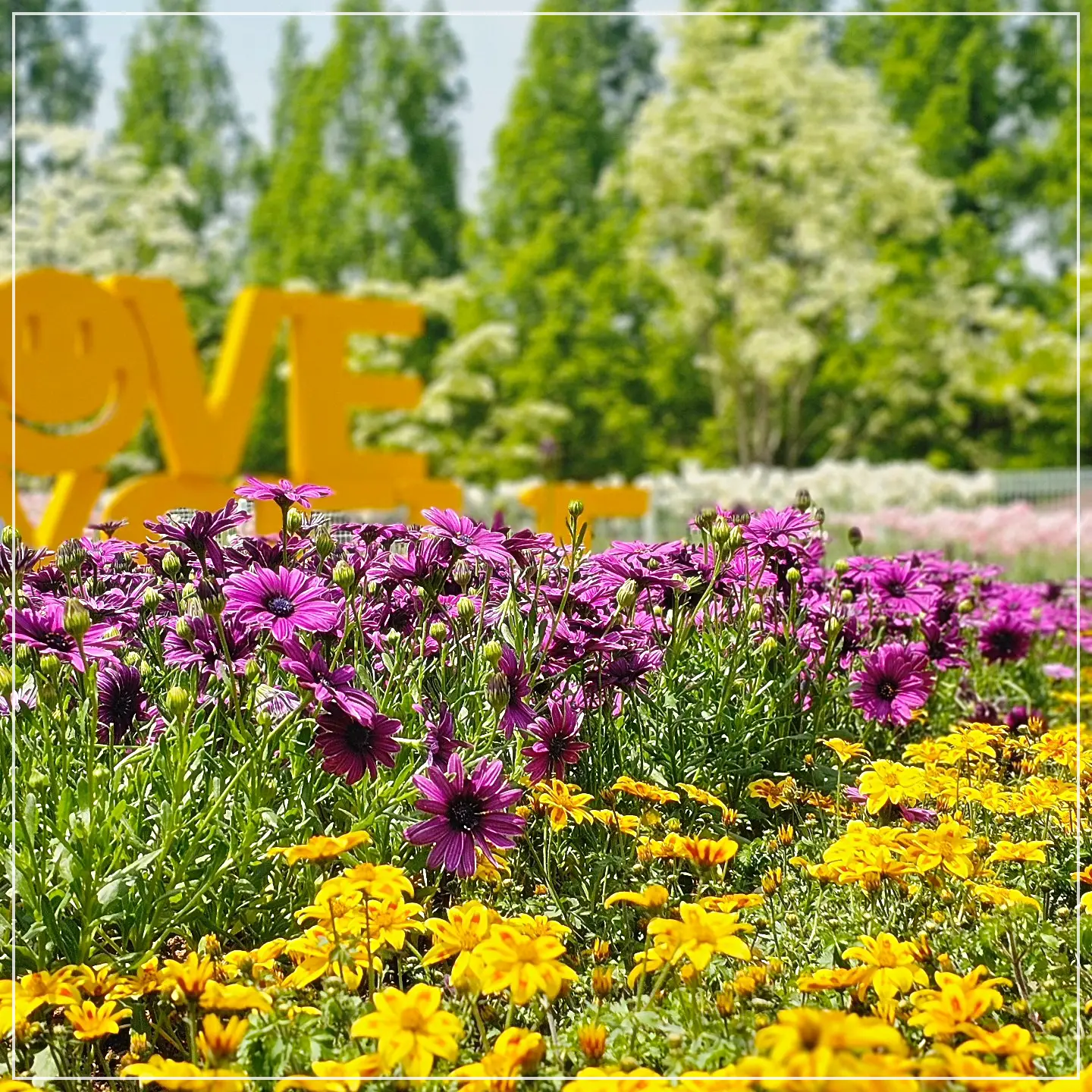 고양국제꽃박람회