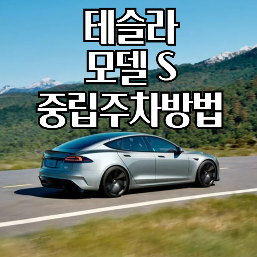 테슬라모델S중립주차따라하기