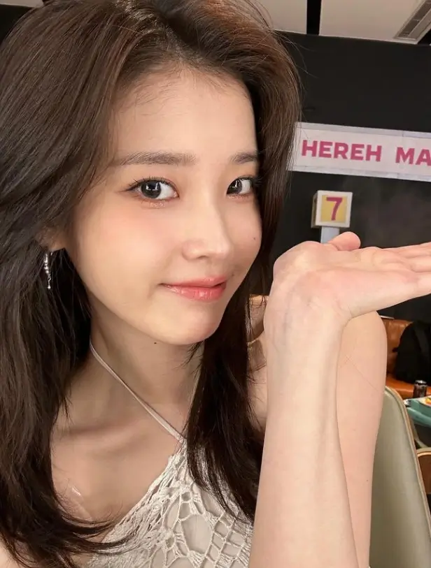 아이유 IU 프로필 갤러리ㅣ노래 음악 mbti 인스타 유튜브