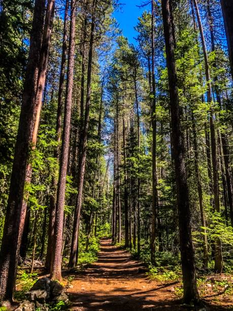 국립자연휴양림-예약-꿀팁 