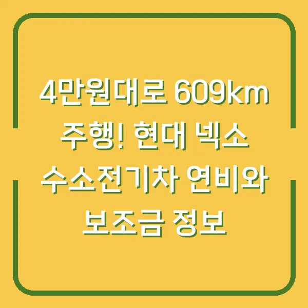 4만원대로 609km 주행! 현대 넥소 수소전기차 연비와 보조금 정보