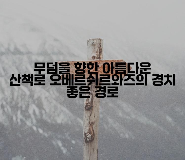 무덤을 향한 아름다운 산책로 오베르쉬르와즈의 경치 좋은 경로