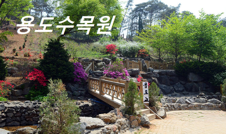 용도수목원 대표사진