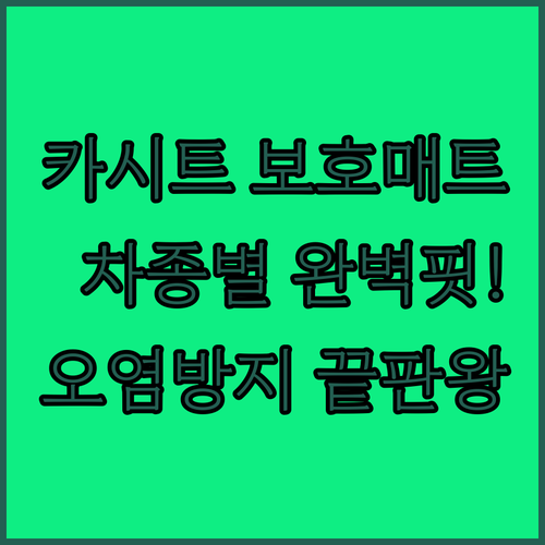 아이 키우는 집 필수 아이템 카시트 ..
