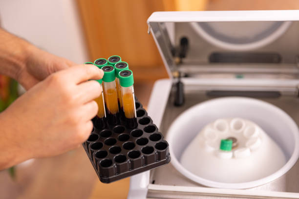 줄기세포 주사를 받기 전 꼭 알아야 할 핵심 요약