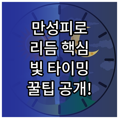 만성 피로 해소 일주기 리듬 교정을 ..