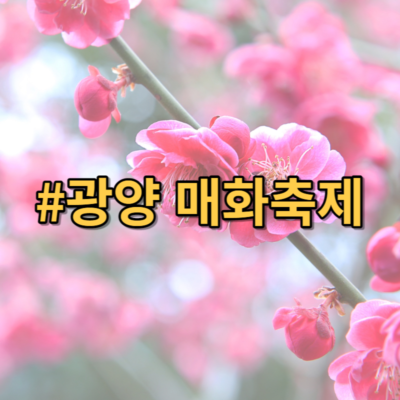 2023 광양 매화축제