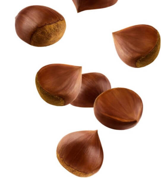 신장에좋은음식