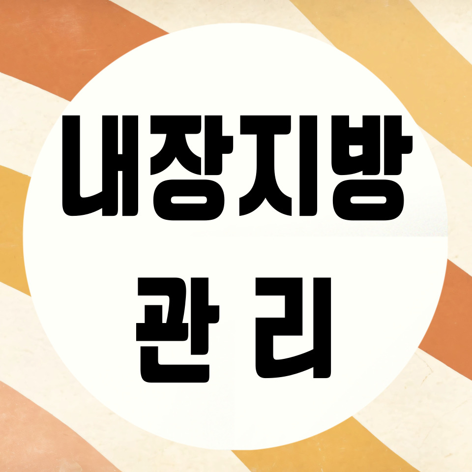 내장지방 관리 카드뉴스