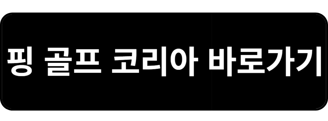 핑 퍼터