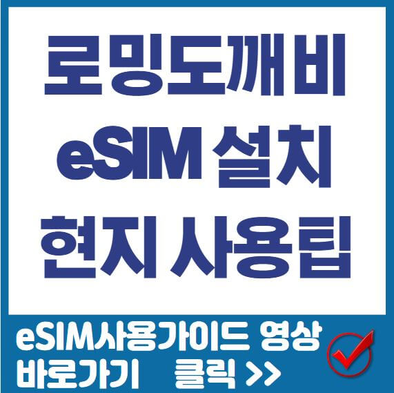로밍도깨비 eSIM썸네일