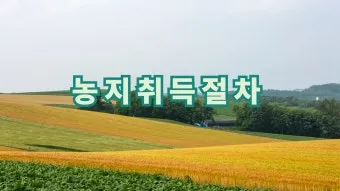 농지 취득 절차 자격증명 면적 제한 서류 신고 유의점_2