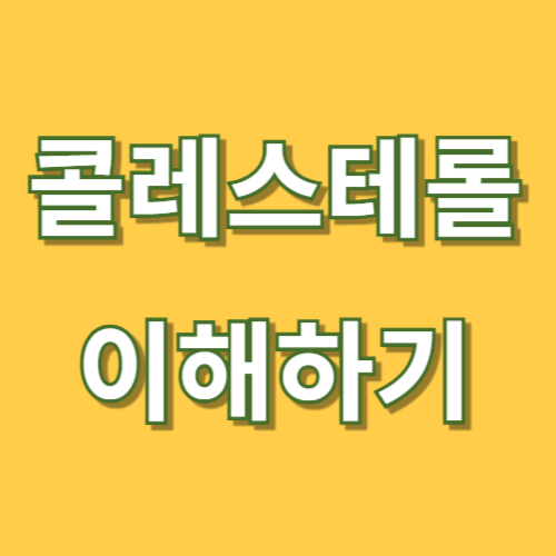콜레스테로 이해하기