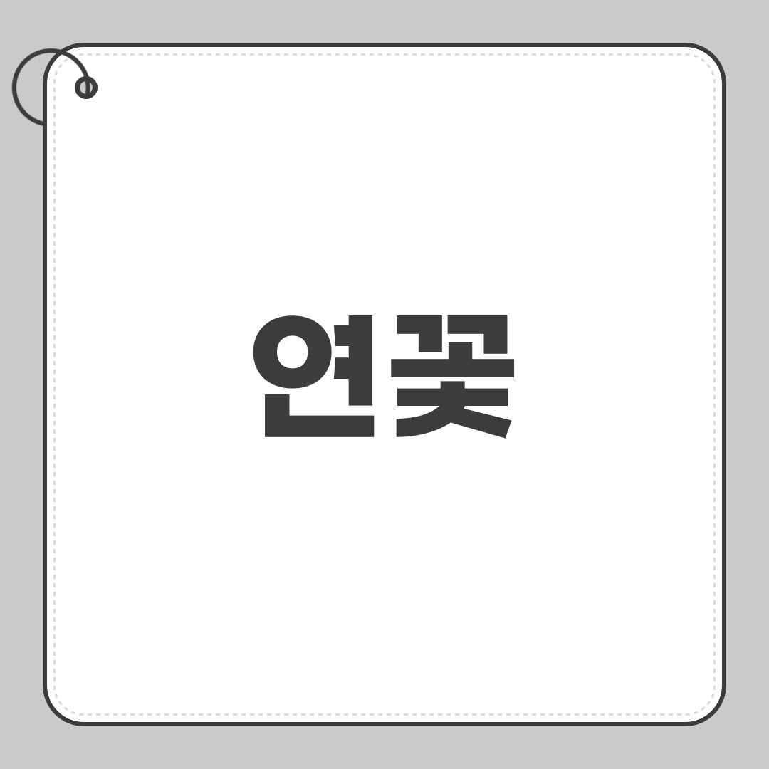 연꽃