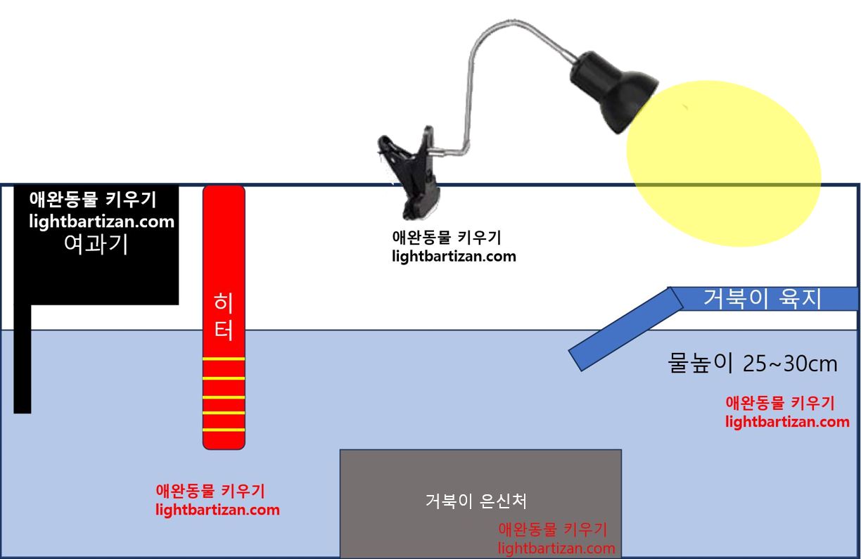 어항세팅