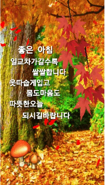 10월 인사말 예시 모음 영어_4