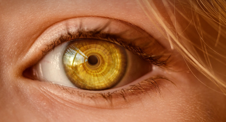 안구건조증 눈 사진