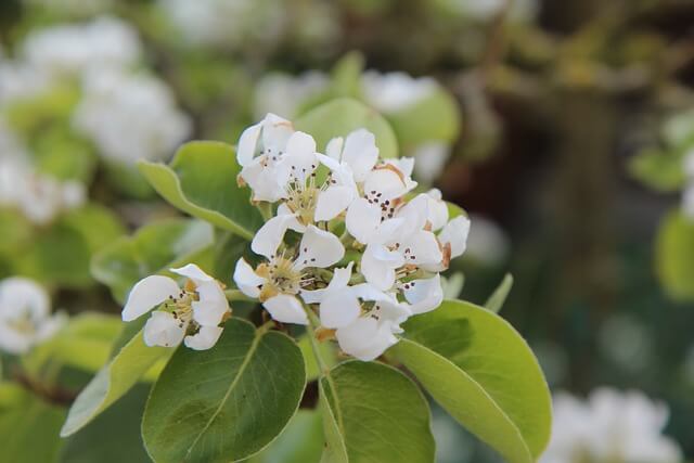 화담숲 입장료 예약