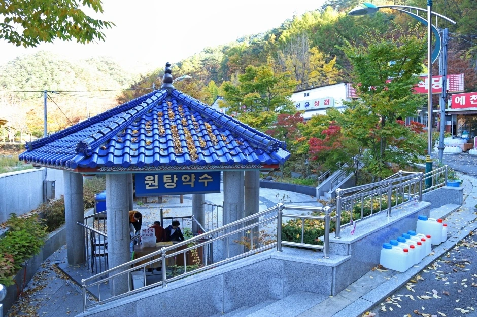 청송사과축제 기본정보 및 이벤트