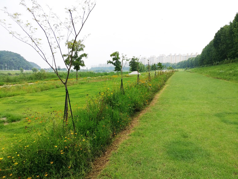대전광역시 서구 유등천파크골프장 소개