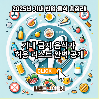 2025년 기내 반입 음식 총정리! 금지 음식과 허용 리스트 완벽 공개